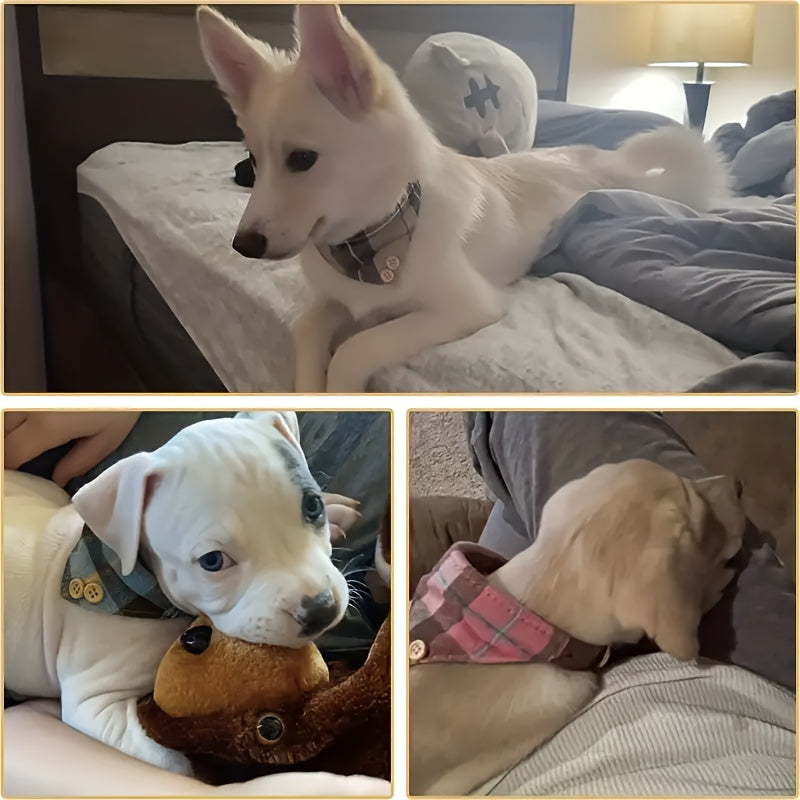 Plaid Pet Collar with Bow & Bell