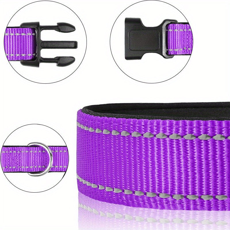 Personalized Reflective Dog Collar with Name Tag