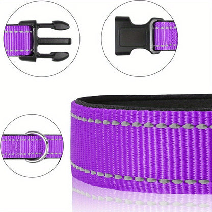 Personalized Reflective Dog Collar with Name Tag