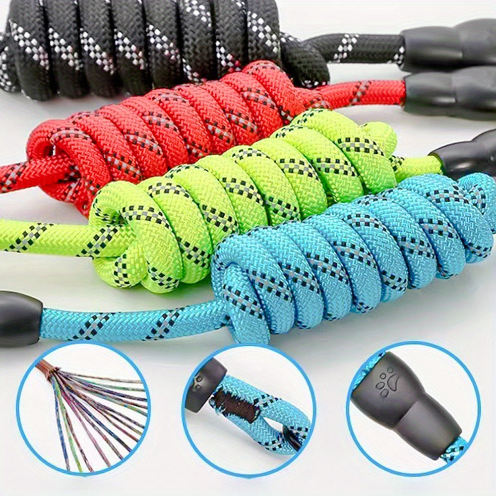 Personalized Reflective Dog Collar with Name Tag