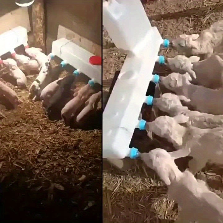 Small Animal Milk Feeder – 3 Pack