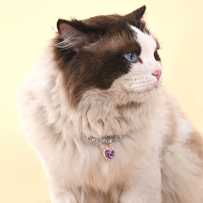 Faux Pearl Ribbon Bow Cat Collar