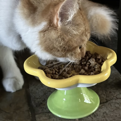 Raised Flower Ceramic Cat Bowls – Set of 2