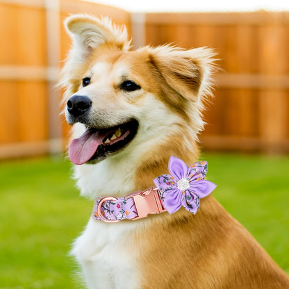 Floral Rhinestone Adjustable Pet Collar