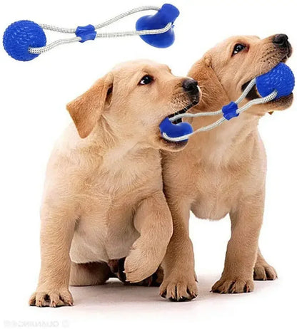 Suction Cup Dog Chew Toy with TPR Ball