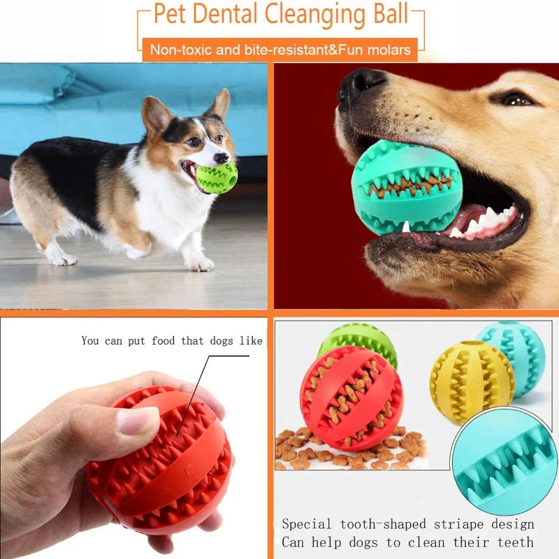 Interactive Rubber Chew Ball for Dogs & Puppies