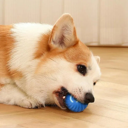 USB Smart Moving Interactive Dog Ball