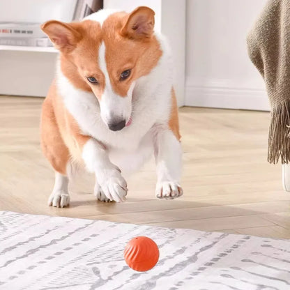 USB Smart Moving Interactive Dog Ball
