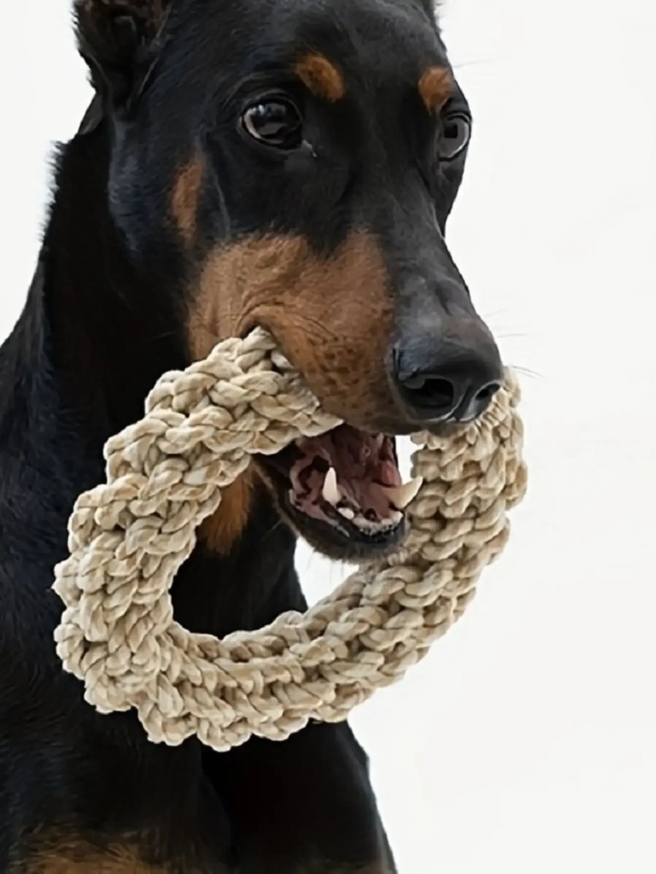 Durable Rope Chew Toy for Medium & Large Dogs