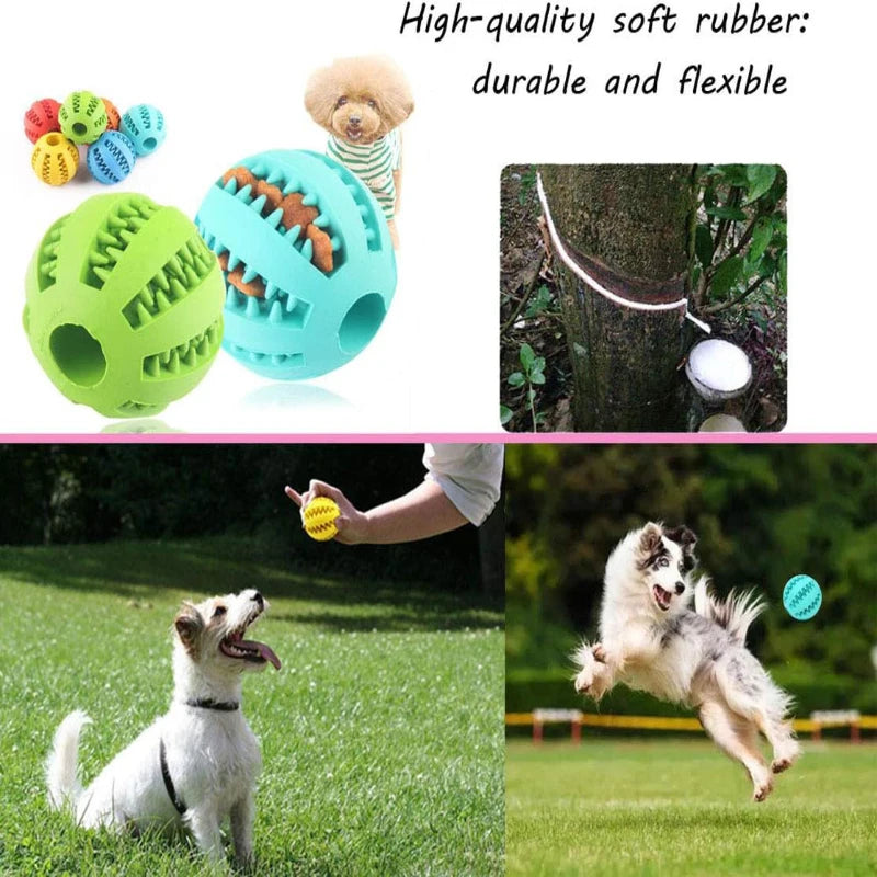 Interactive Rubber Chew Ball for Dogs & Puppies