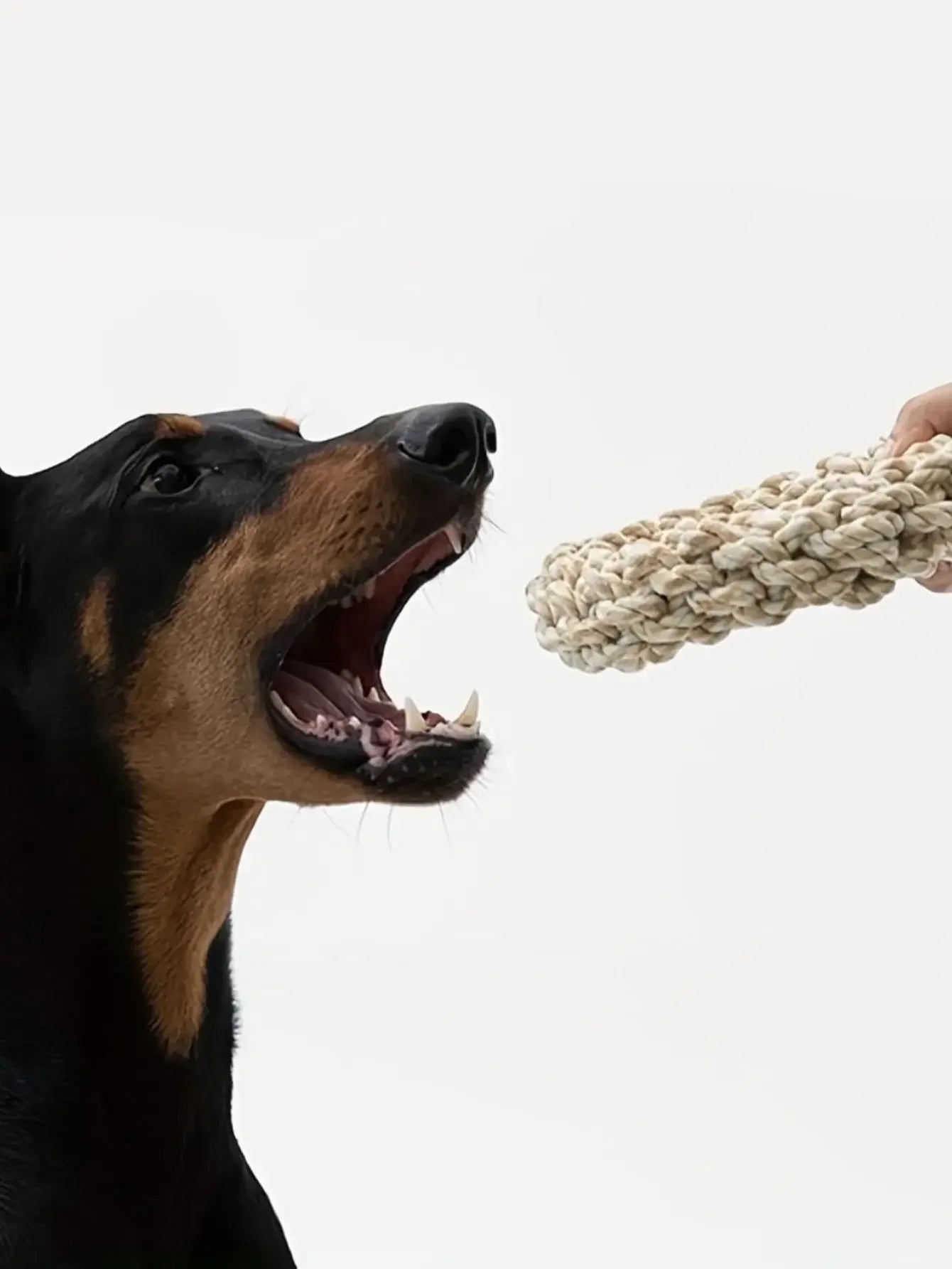 Durable Rope Chew Toy for Medium & Large Dogs