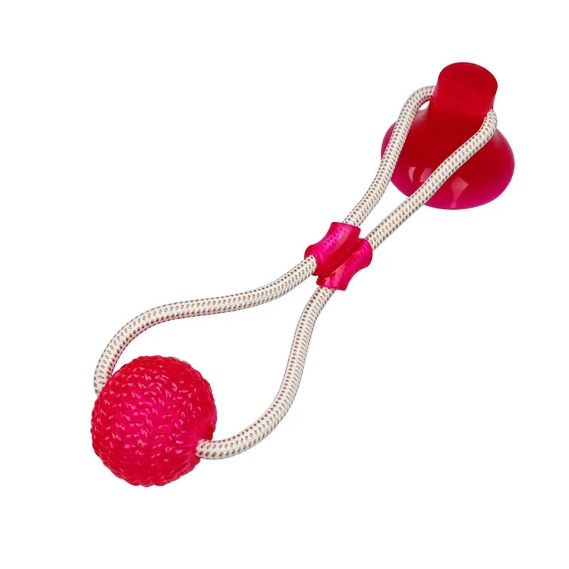 Suction Cup Dog Chew Toy with TPR Ball