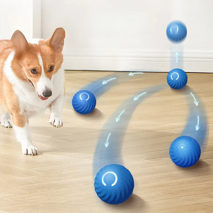 USB Smart Moving Interactive Dog Ball