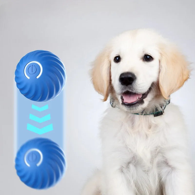 USB Smart Moving Interactive Dog Ball