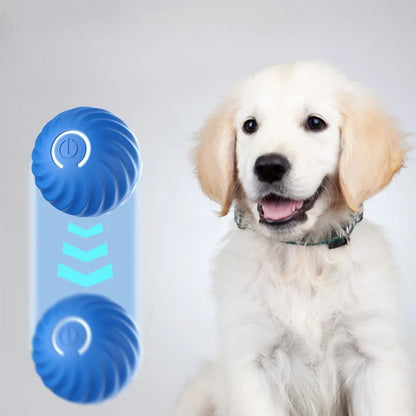 USB Smart Moving Interactive Dog Ball