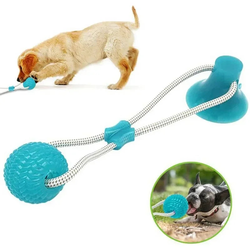 Suction Cup Dog Chew Toy with TPR Ball
