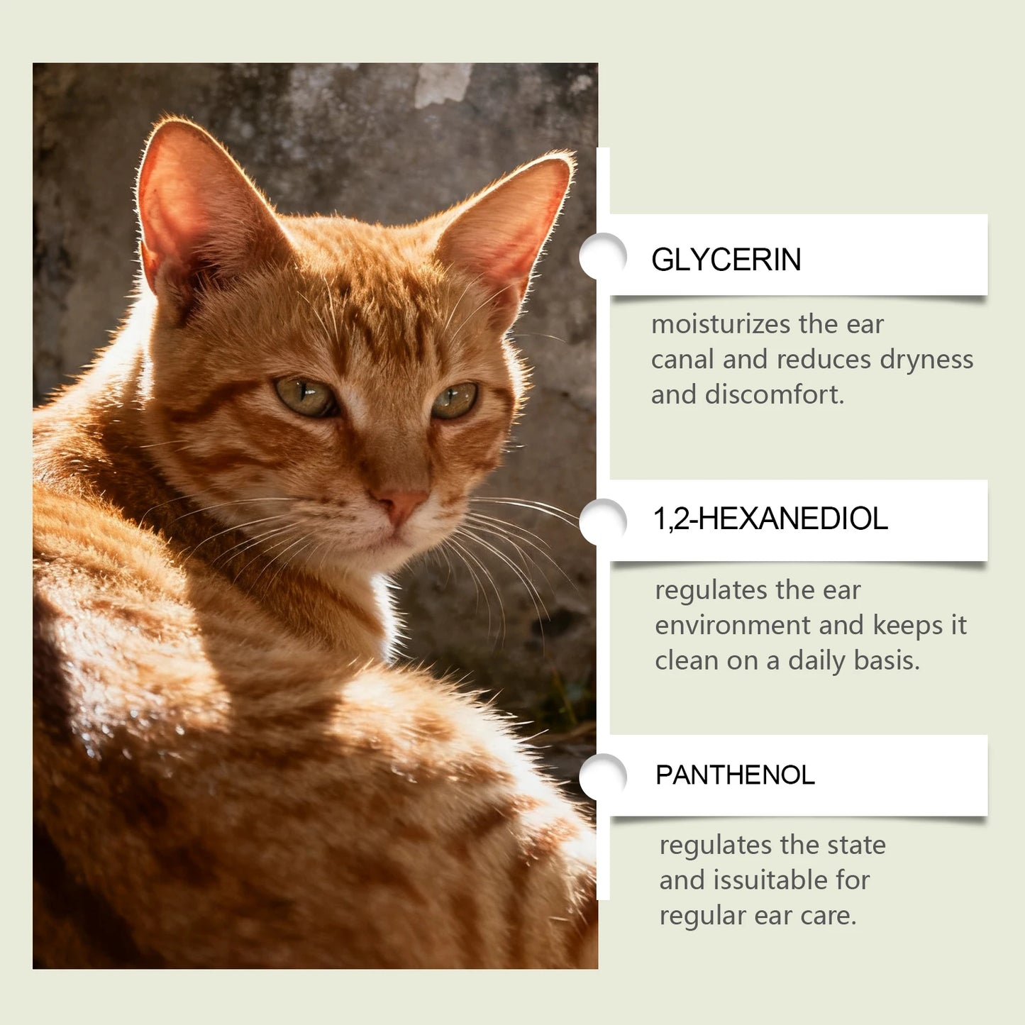 Pet Ear Care Drops for Cats & Dogs