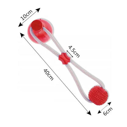 Suction Cup Dog Chew Toy with TPR Ball