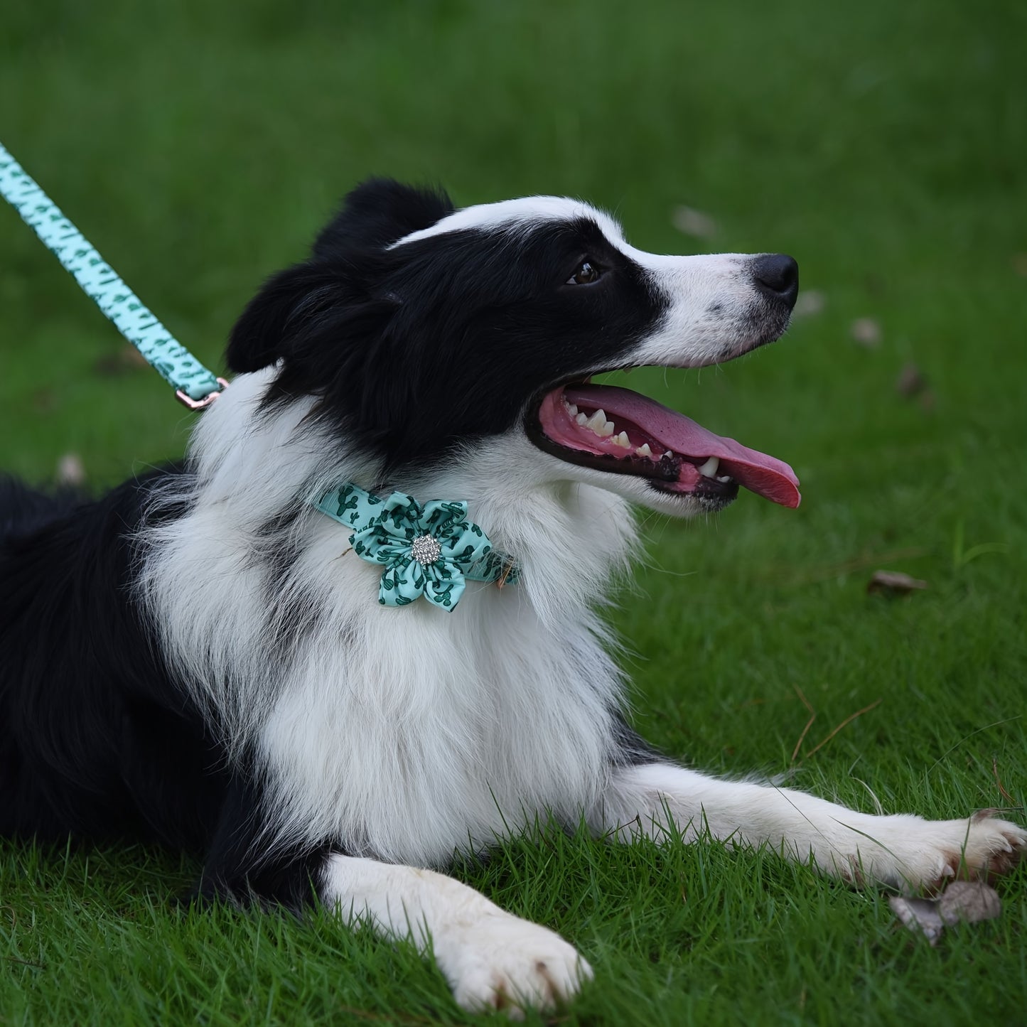 Floral Rhinestone Adjustable Pet Collar