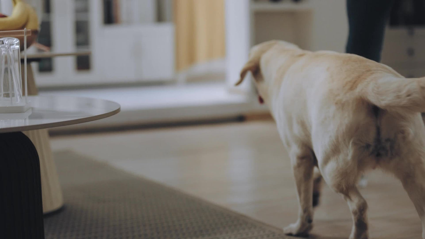 Dokoo Smart Cat Feeder with Camera & Treat Dispenser