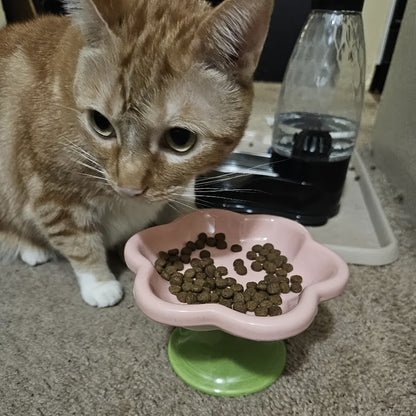 Raised Flower Ceramic Cat Bowls – Set of 2